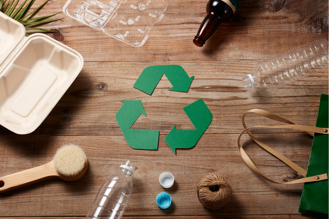 Plastic vs. Leather Pet Accessories: A Thoughtful Choice