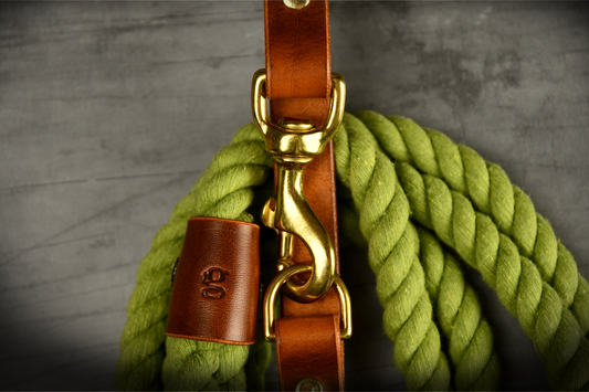 Hands-free Leather and Rope Dog Lead in Olive and Chestnut
