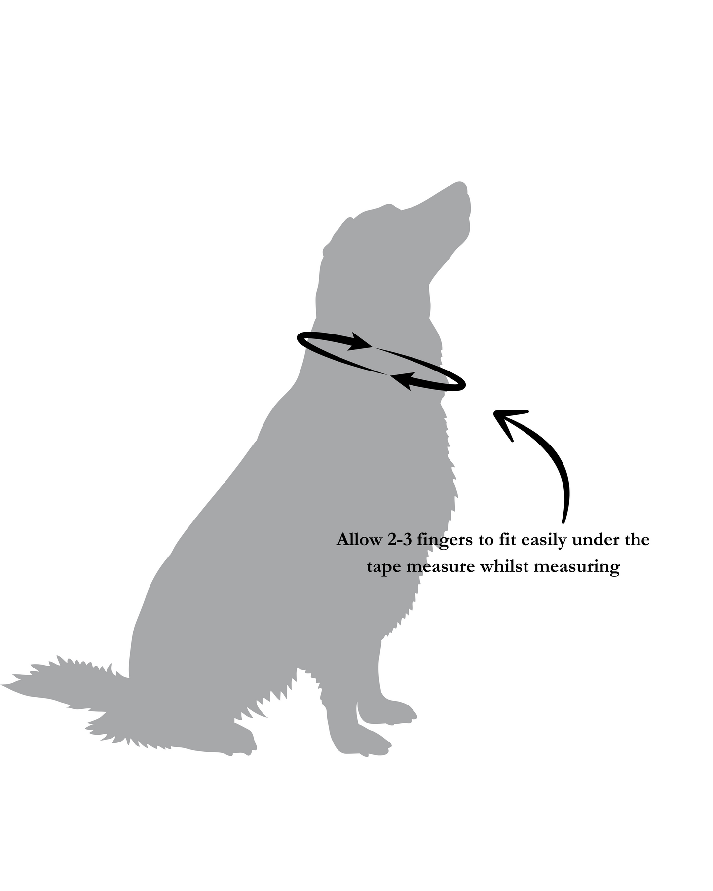 Handmade Burgundy Rope Dog Collar. Plastic free, 100% cotton rope with leaf green leather sleeves.