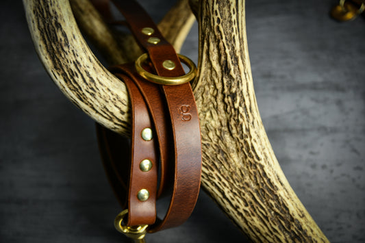 Handcrafted Chestnut Leather Lead and Personalised Collar Set.