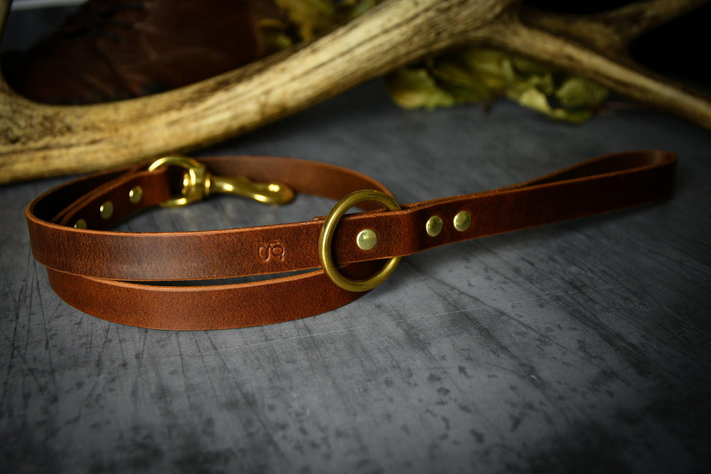 Handcrafted Chestnut Leather Lead.