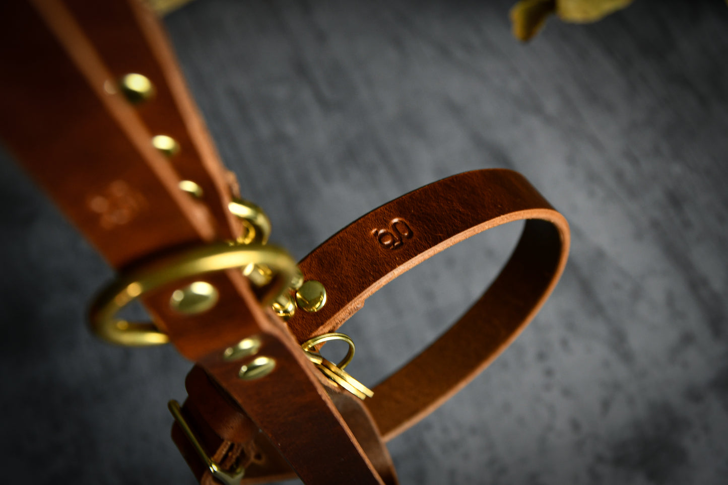 Handcrafted Chestnut Leather Lead and Personalised Collar Set.