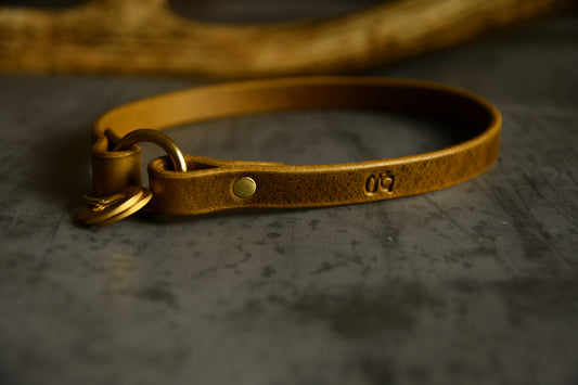 Custom Fit Leather Dog ID Collar in Leaf Green