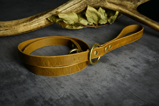 Handcrafted Leaf Green Full-Grain Leather Lead