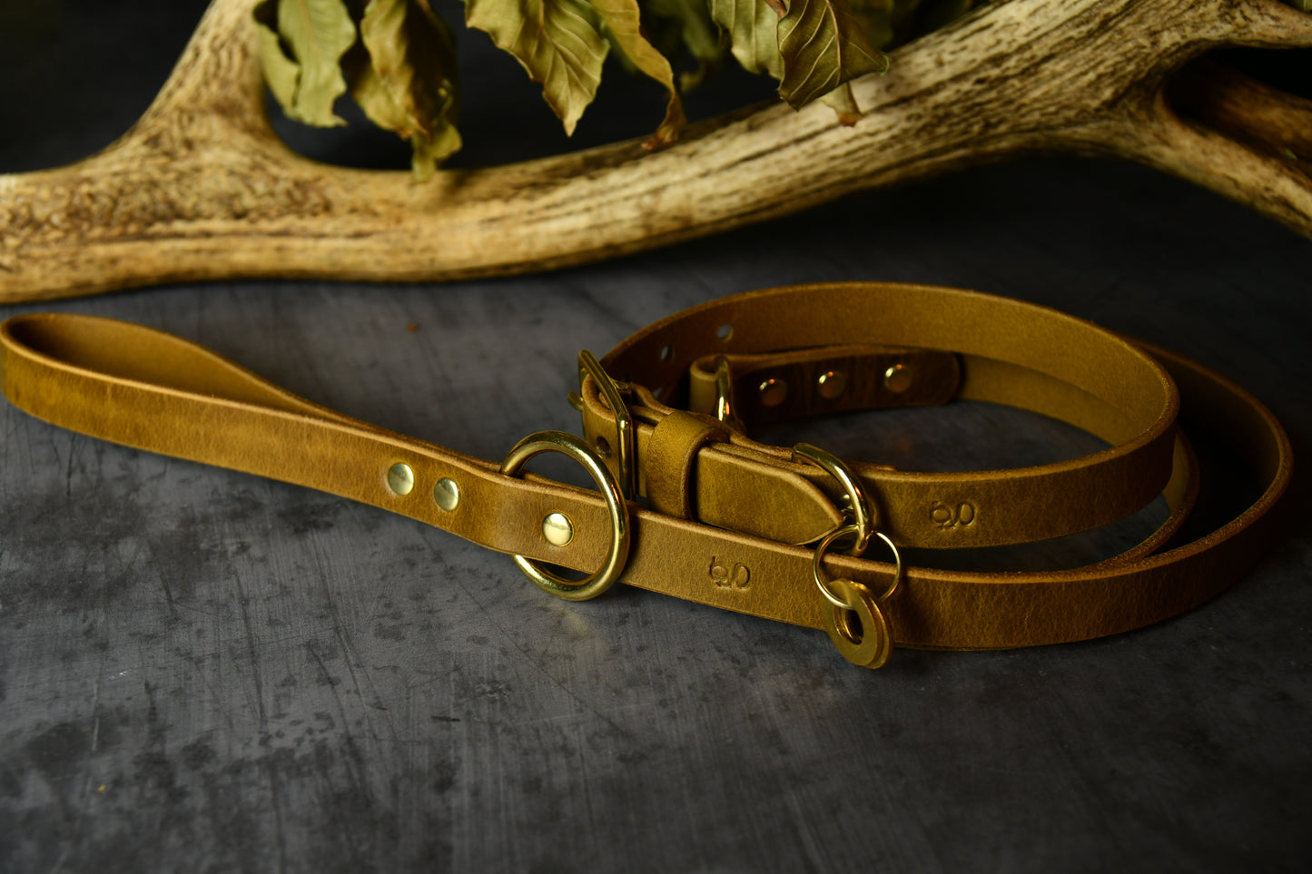 Handcrafted Leaf Green Leather Lead and Personalised Collar Set.