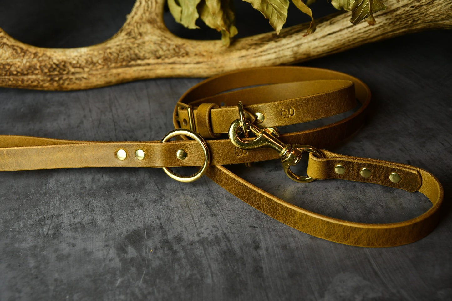 Handcrafted Leaf Green Leather Lead and Personalised Collar Set.