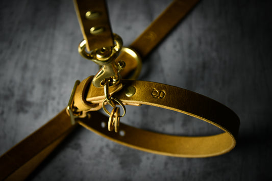 Handcrafted Leaf Green Leather Lead and Personalised Collar Set.