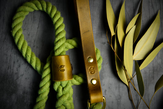 Handcrafted Olive Green Lead with Leaf Green Leather.