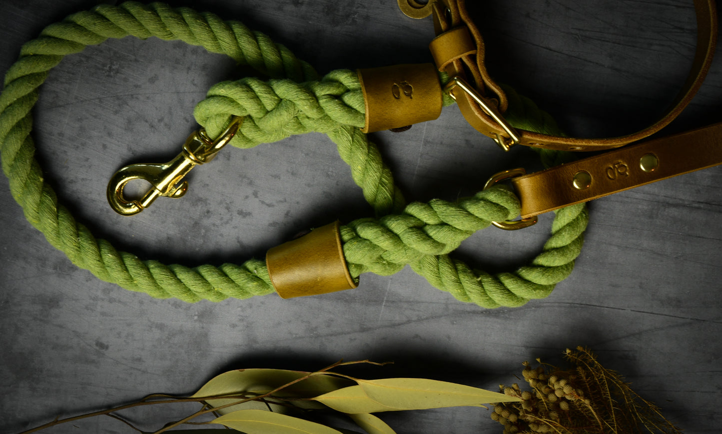 Handcrafted Olive Green Lead and Personalised Collar Set with Leaf Green Leather.