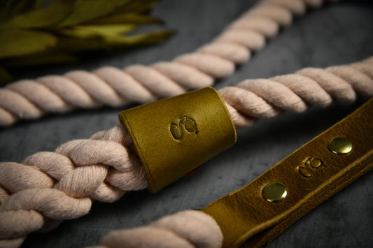 Handcrafted Pastel Pink Lead with Leaf Green Leather Sleeves.