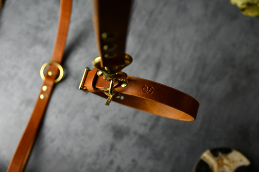 Handcrafted Light Tan Leather Lead and Personalised Collar Set