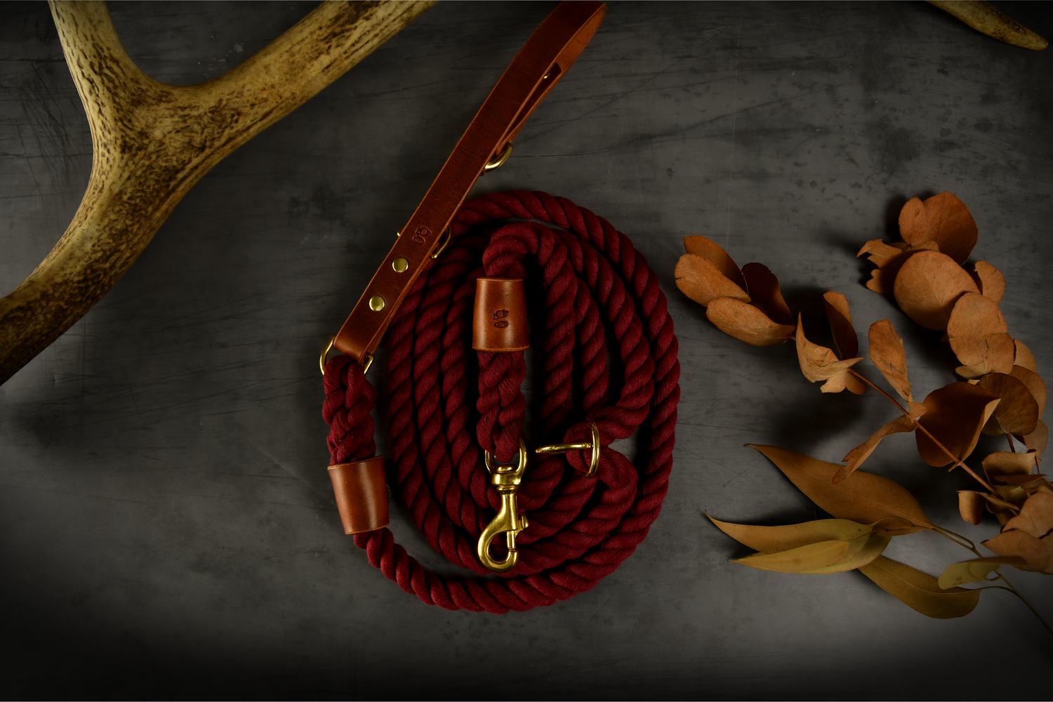 NEW IN!!! Hands-Free Leather and Rope Dog Leads