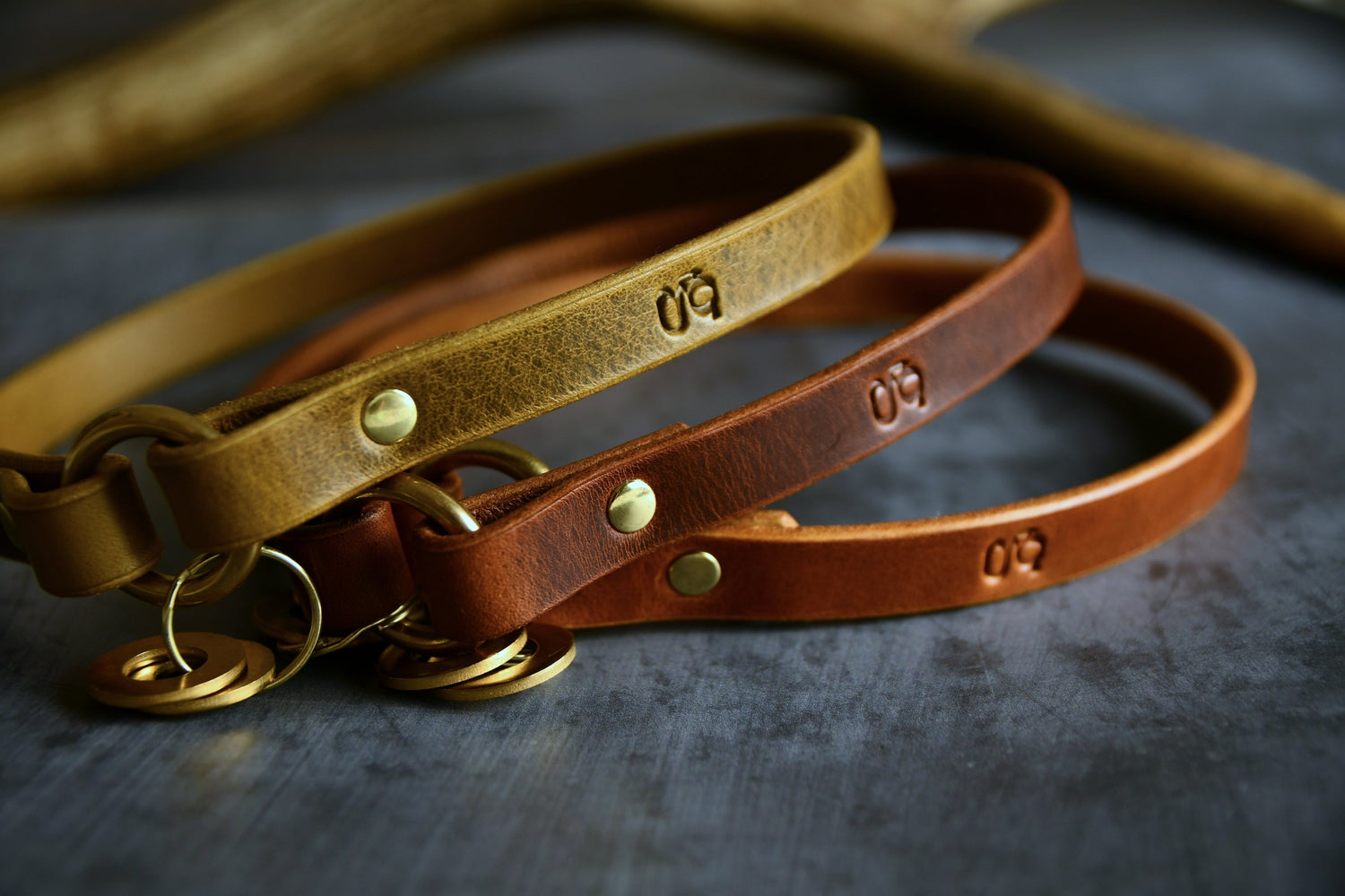 Custom Fit Leather Dog ID Collar. 