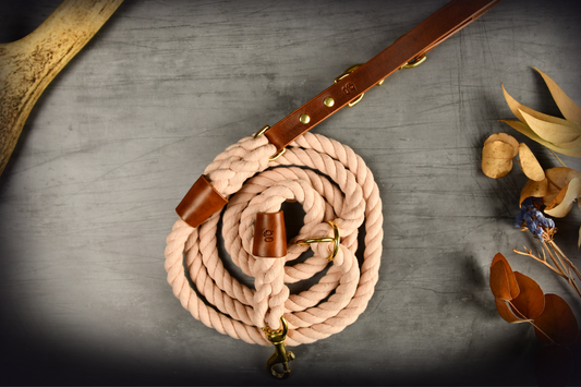 Hands-free Leather and Rope Dog Lead in Pastel Pink and Chestnut