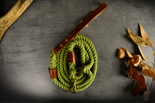 Hands-free Leather and Rope Dog Lead in Olive and Chestnut