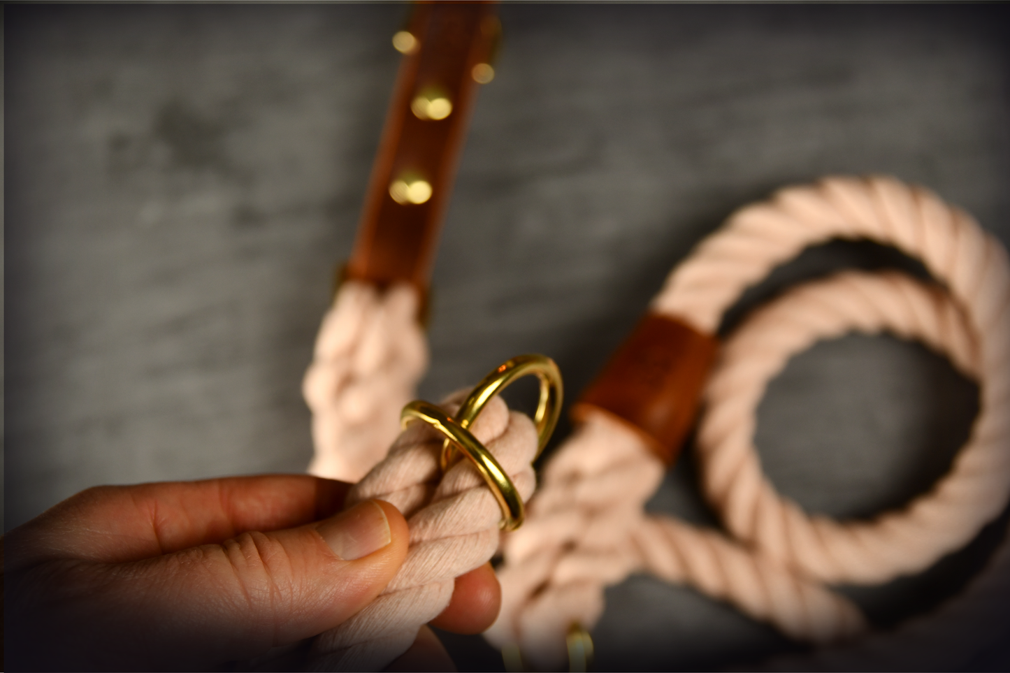 Hands-free Leather and Rope Dog Lead in Pastel Pink and Chestnut