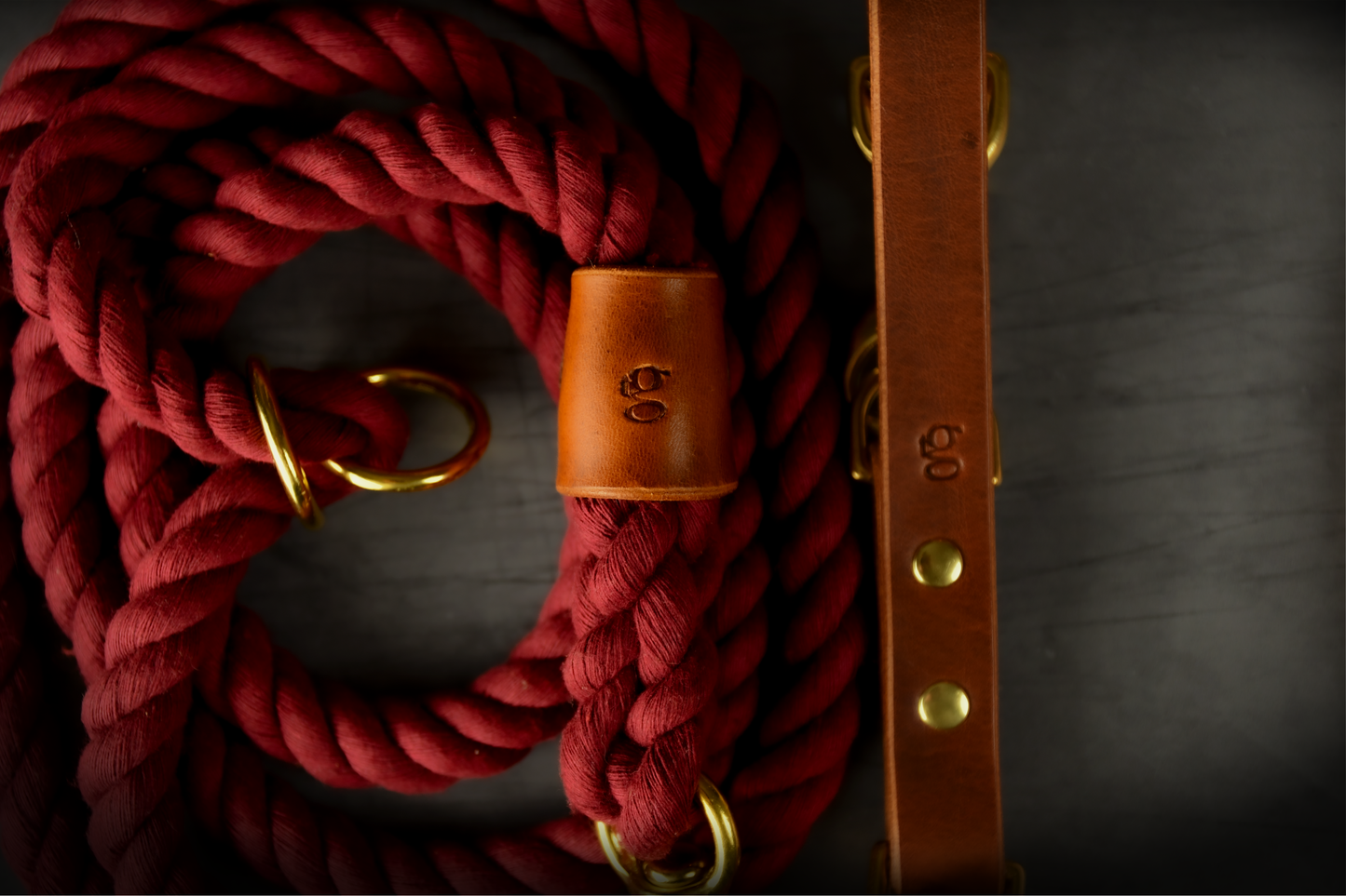 Hands-free Leather and Rope Dog Lead in Burgundy and Chestnut