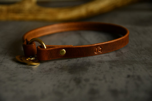 Custom Fit Leather Dog ID Collar in Chestnut