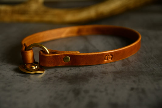 Custom Fit Leather Dog ID Collar in Light Tan