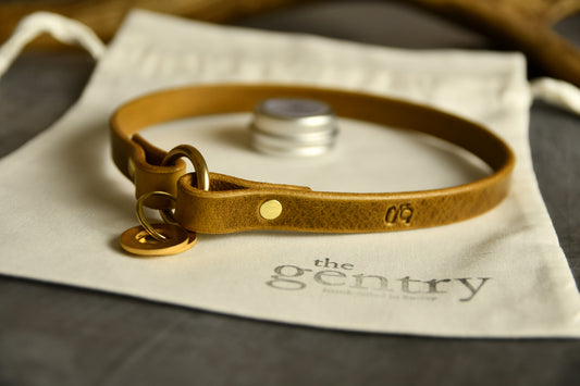 Custom Fit Leather Dog ID Collar in Leaf Green