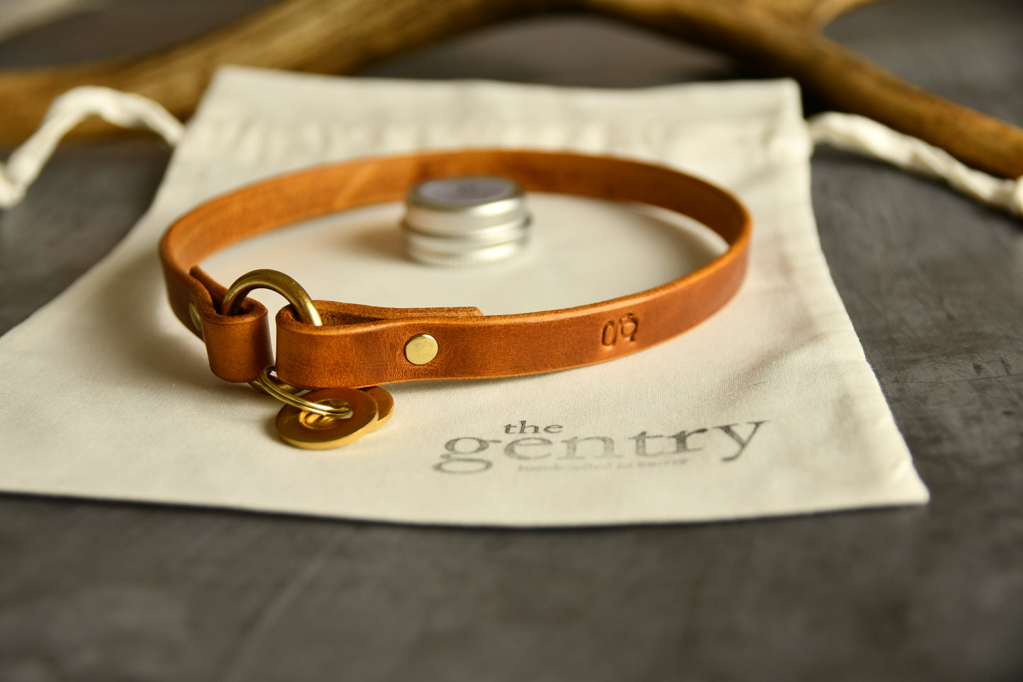 Custom Fit Leather Dog ID Collar in Light Tan