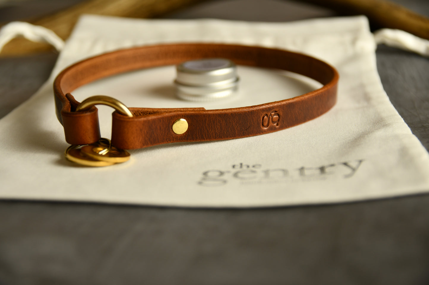Custom Fit Leather Dog ID Collar in Chestnut