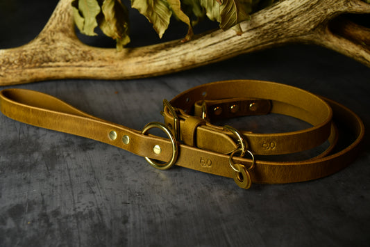 Handcrafted Leaf Green Leather Lead and Personalised Collar Set.