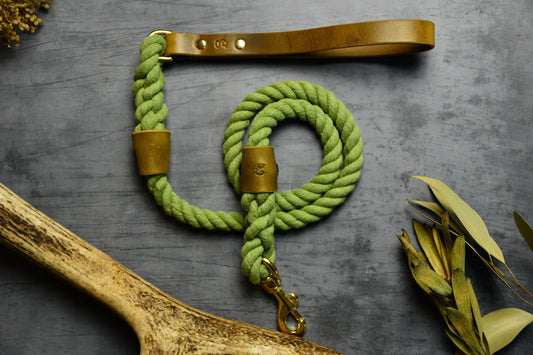Handcrafted Olive Green Lead with Leaf Green Leather.