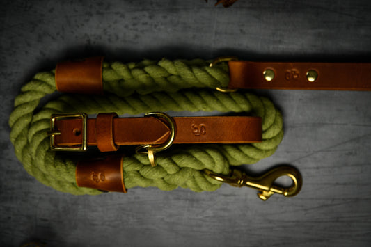 Handcrafted Olive Green Lead and Personalised Collar Set with Tan Leather.