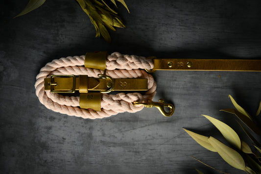 Handcrafted Pastel Pink Lead and Personalised Collar Set with Leaf Green Leather.