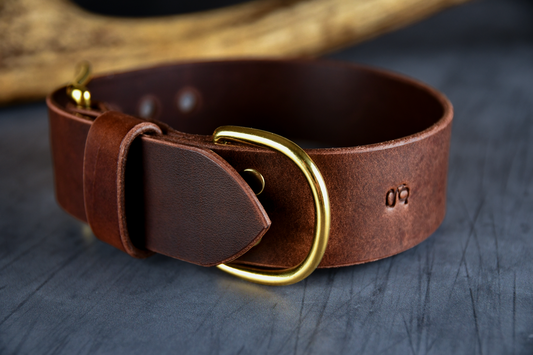 The Gentry's Wide Cut Leather Collar in Chestnut.