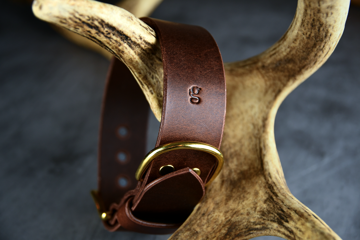 The Gentry's Wide Cut Leather Collar in Chestnut.