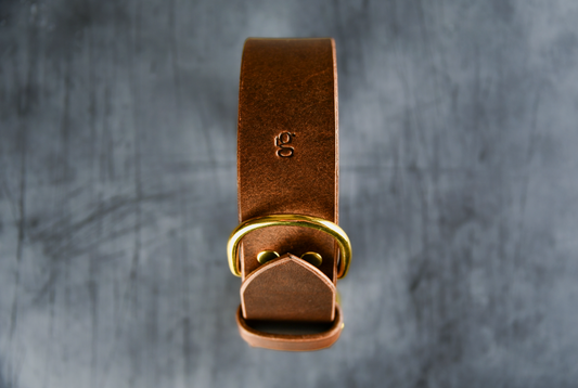 The Gentry's Wide Cut Leather Collar in Chestnut.