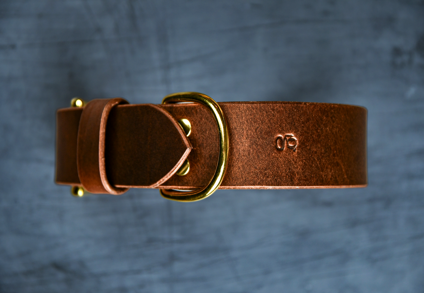 The Gentry's Wide Cut Leather Collar in Chestnut.
