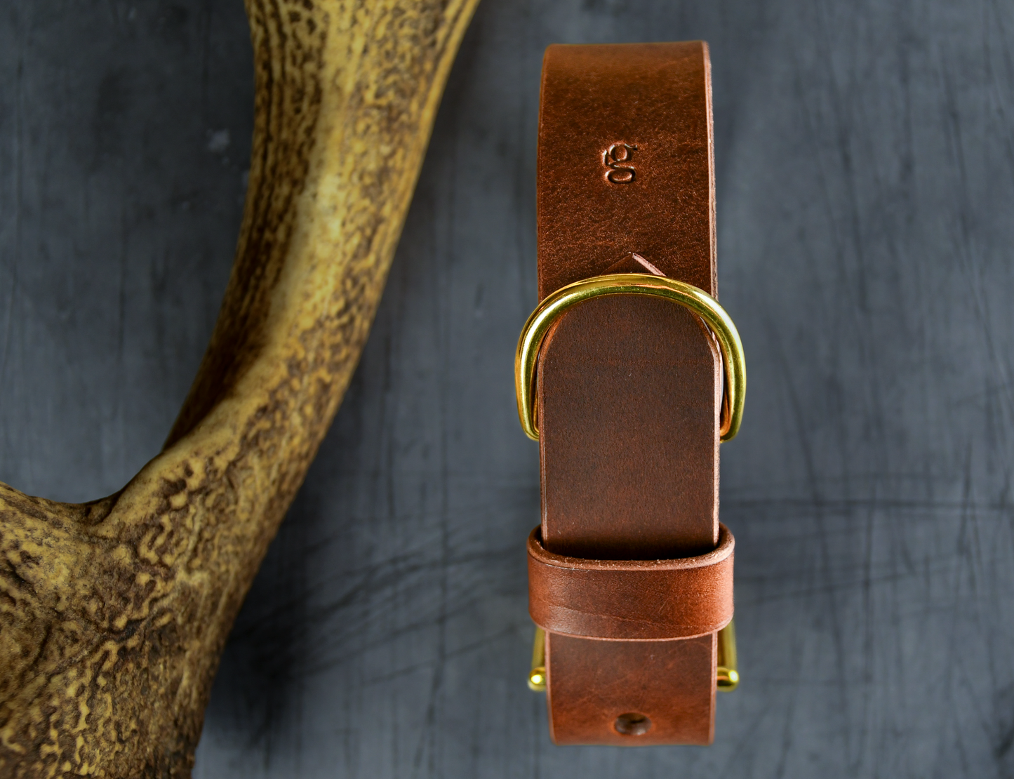The Gentry's Wide Cut Leather Collar in Chestnut.