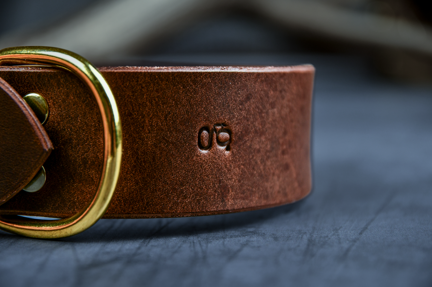 The Gentry's Wide Cut Leather Collar in Chestnut.