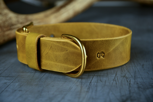 Wide Cut Leather Collar in Leaf Green