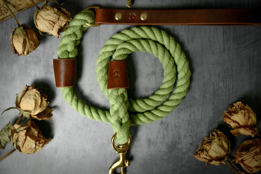 Handcrafted Olive Green Lead with Chestnut Lyvden Leather.