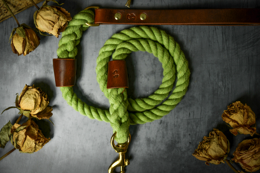 Olive Green Dog Lead with Chestnut Leather